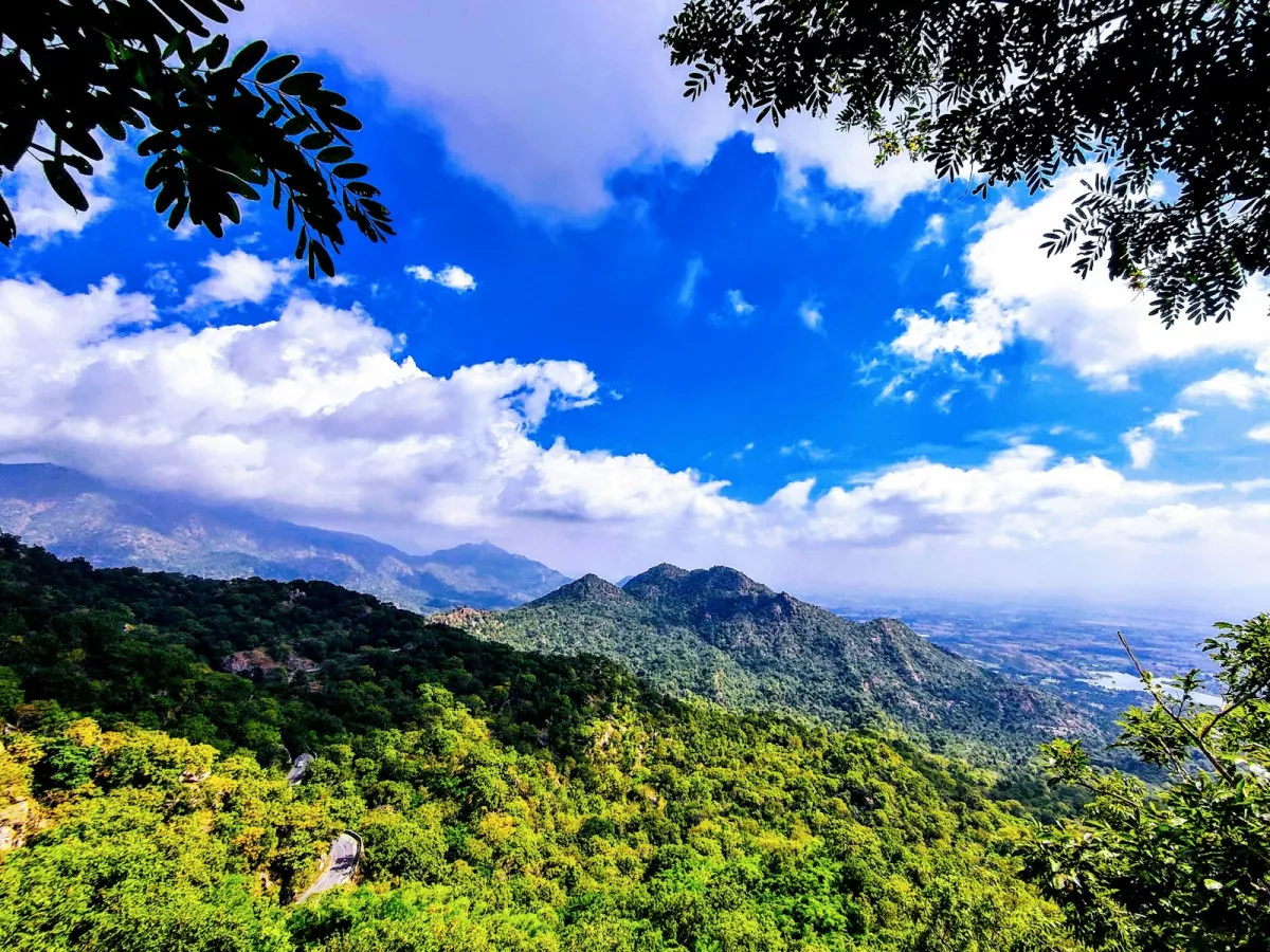 a view of a mountain range from a tree